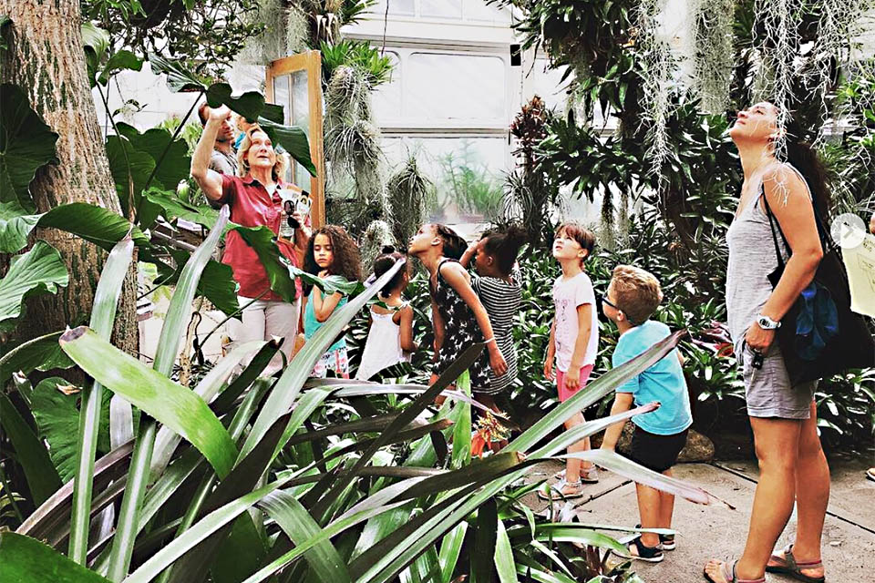 Explore and learn at Nature Sundays at Planting Fields Arboretum. Photo courtesy of Planting Fields