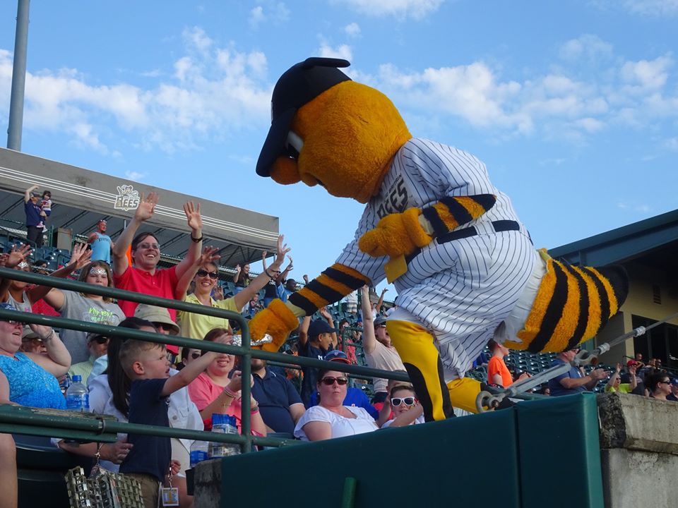 The New Britain Bees play wood-bat, collegiate ball - and have a great mascot, Sting! Photo courtesy of the team
