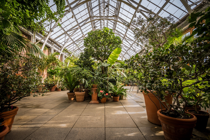 Image of Tower Hill Botanic Garden - Winter Day Trips from Boston