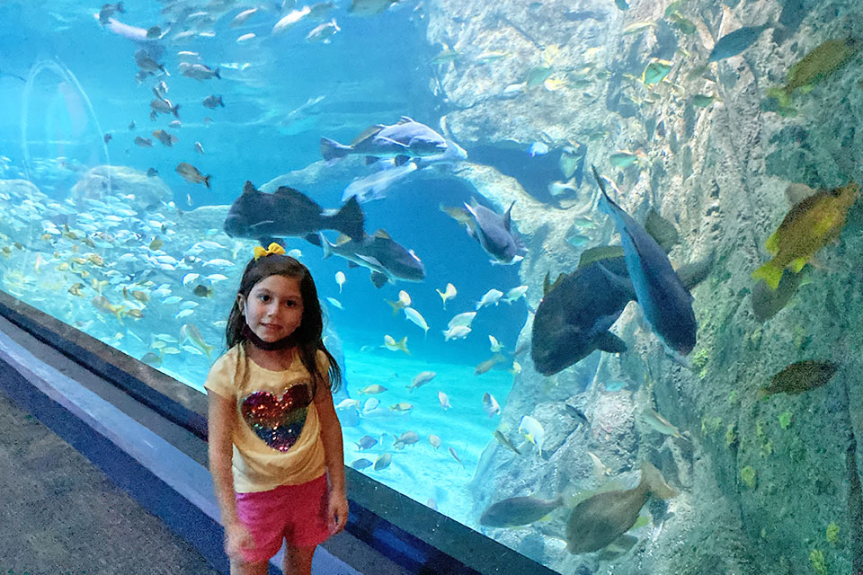 Sea creatures galore wait to greet visitors at the Adventure Aquarium in Camden, New Jersey. 
