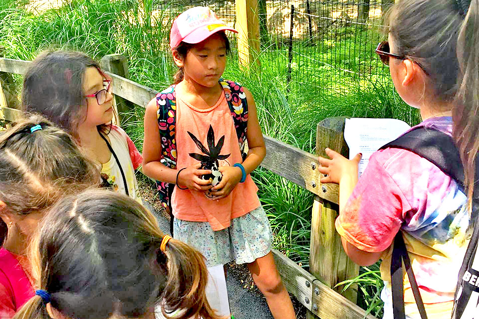 Kids experience the natural world at Tenafly Nature Center Camp. Photo courtesy of the nature center