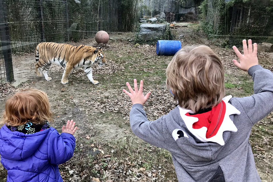 Cohanzick Zoo: NJ Fall Day Trips