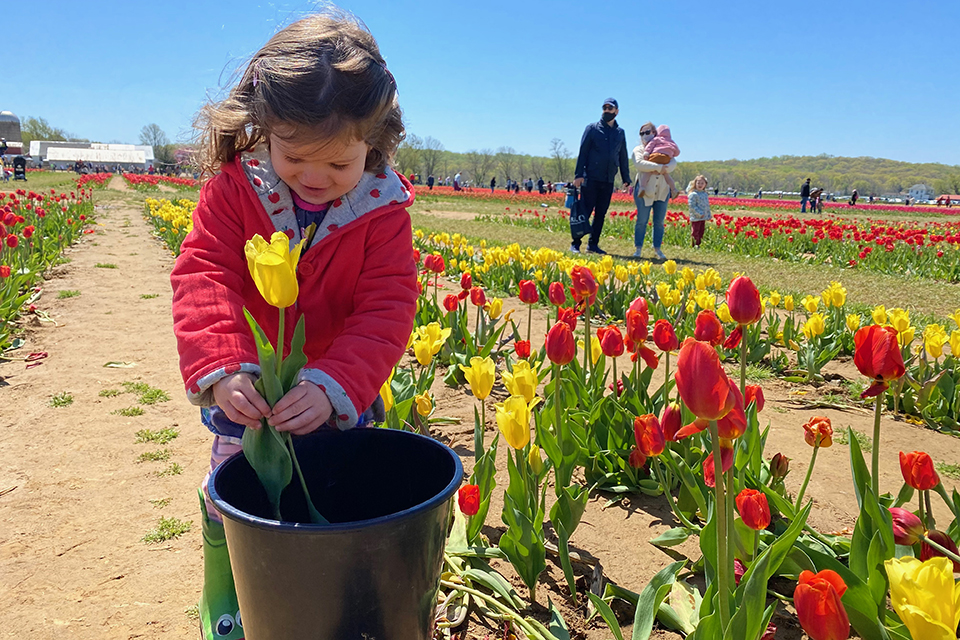100 things to do in New Jersey witk kids:: Holland Ridge Farms