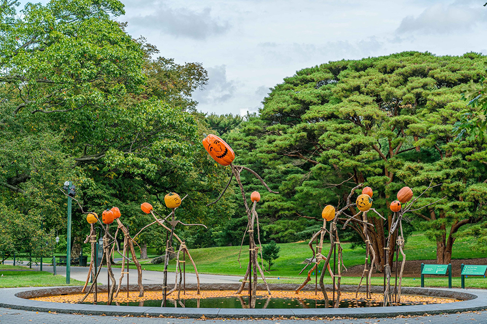 Fall activities in NYC: NYBG