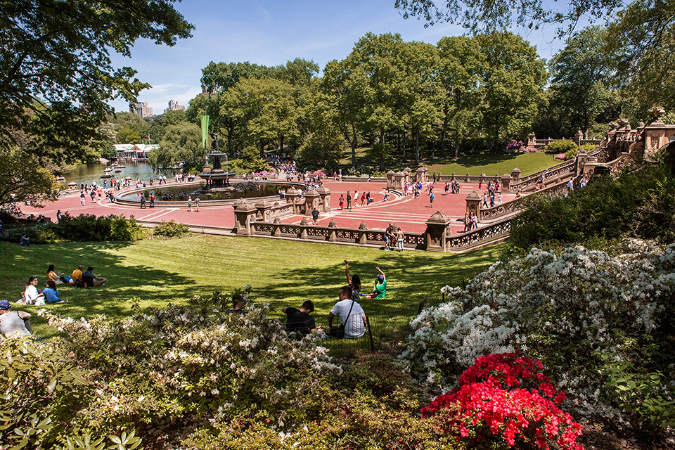 Things to do in NYC: Central Park