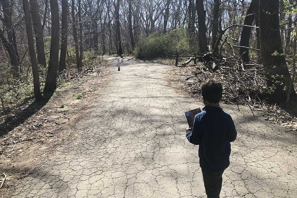 Best things to do in Queens Alley Pond Park