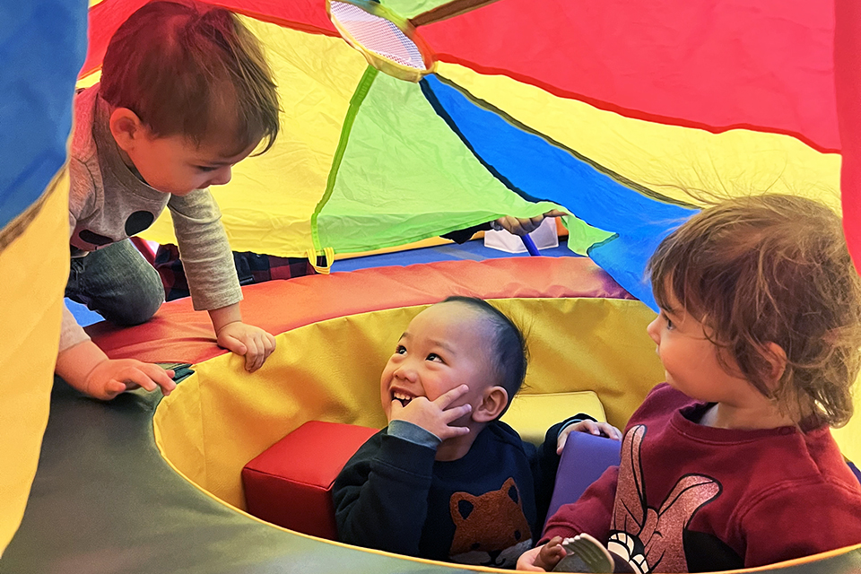 Things To Do with Kids in Carroll Gardens, Cobble Hill, and Boerum Hill: Brooklearn