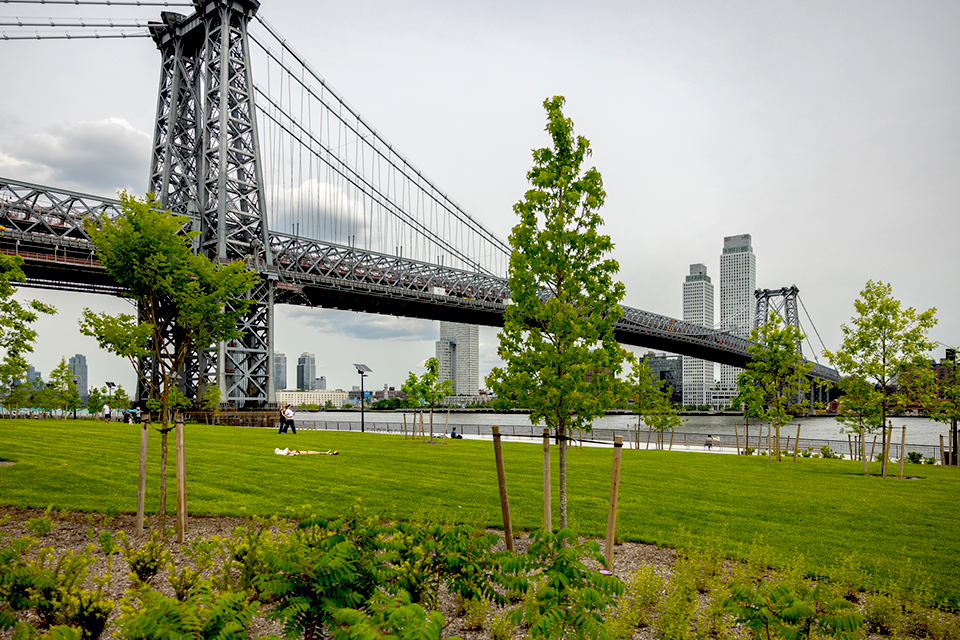 East River Park Upgrade: Williamsburg Bridge