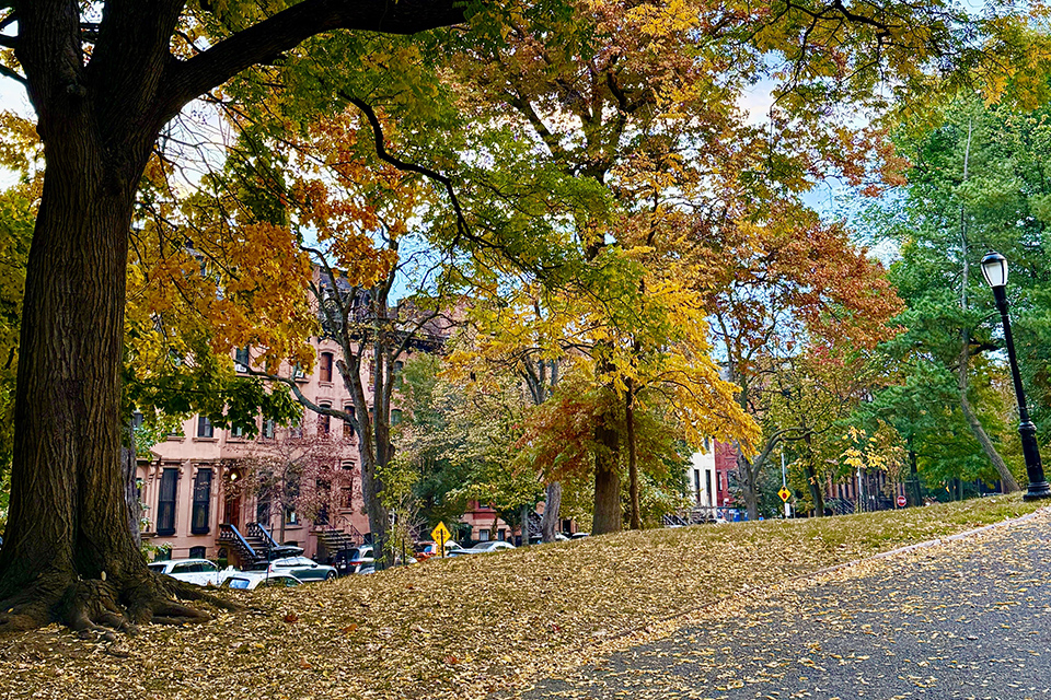 Fort Greene History Walking Tour: Fort Greene, Brooklyn with Kids