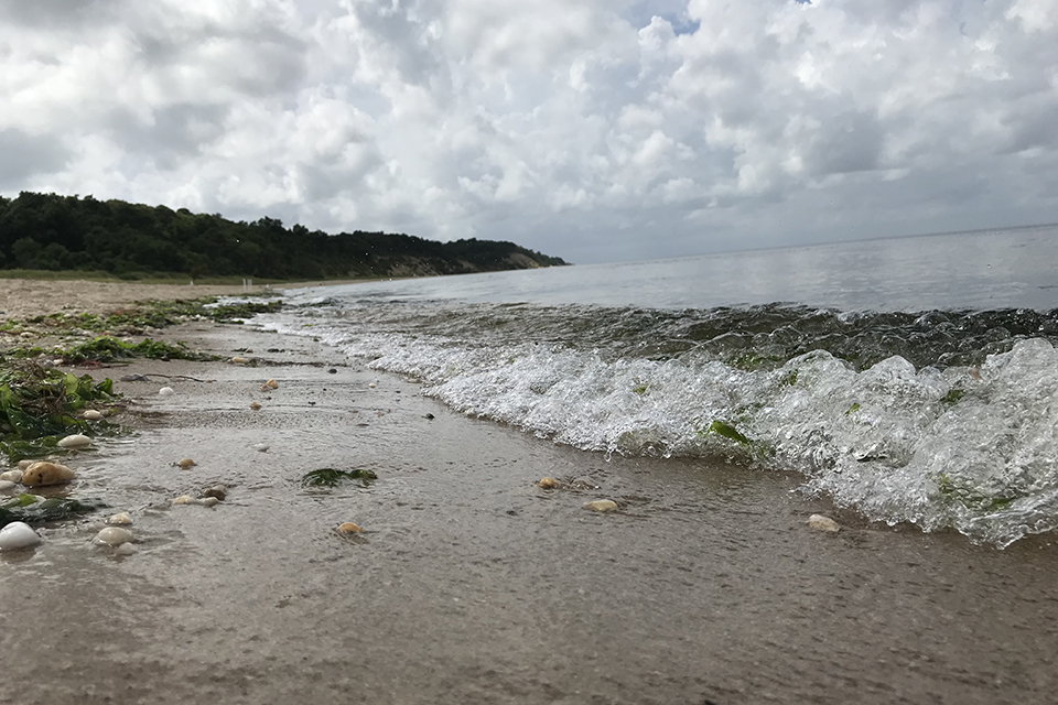 shoreline at Sunken Meadow State Park
