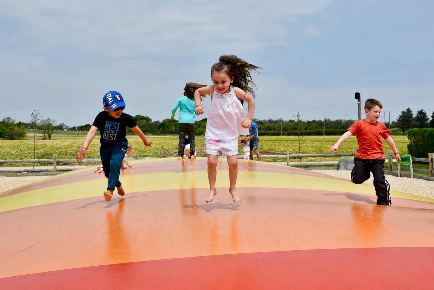 Family-Friendly Wineries on Long Island's East End: Harbes Family Farm