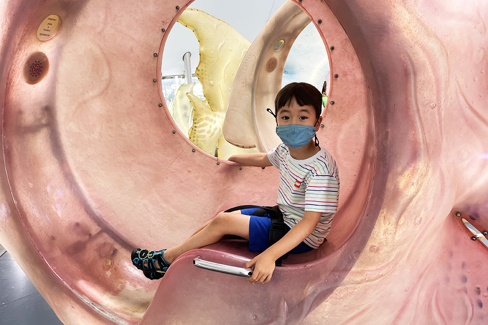 Take a spin on the SeaGlass Carousel. Photo by Diana Kim