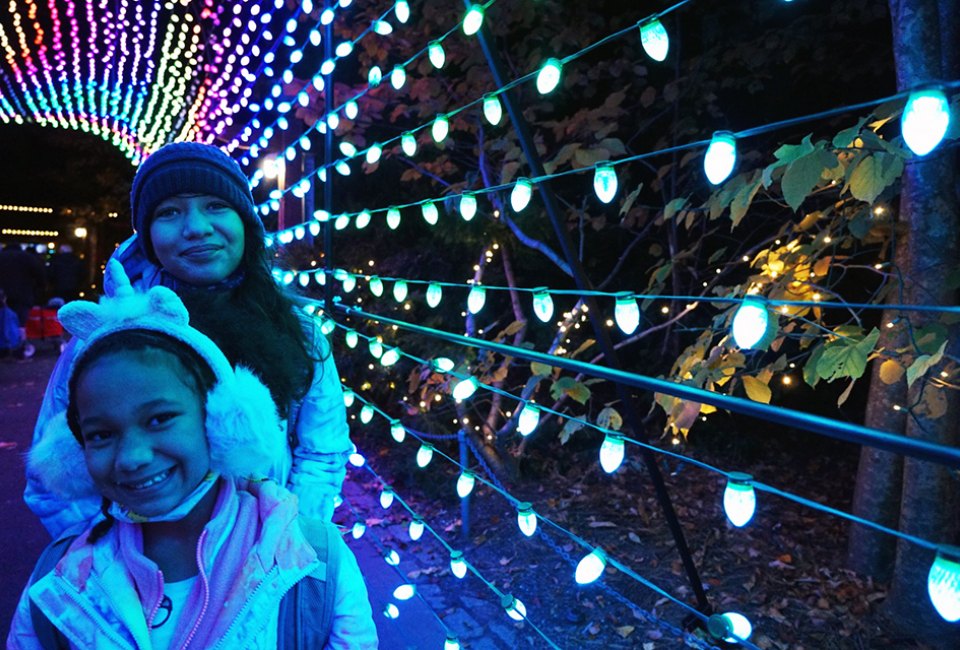 Walk past stunning lanterns and through tunnels of light at the Bronx Zoo Holiday Lights. 
