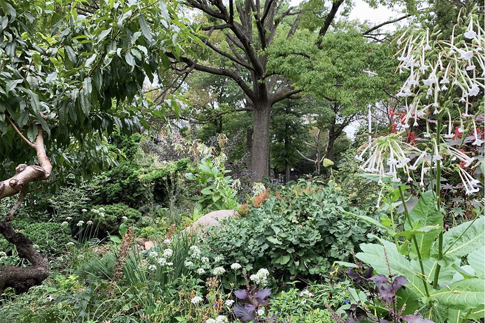 Things to do in Williamsburg, Brooklyn with kids: Green Dome Garden
