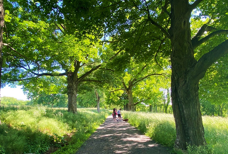 Take a leisurely familly hike at Rockefeller State Park. Photo by Sara Marentette