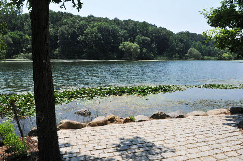 The Fishing Pad at Oakland Lake at Ally Pond Park