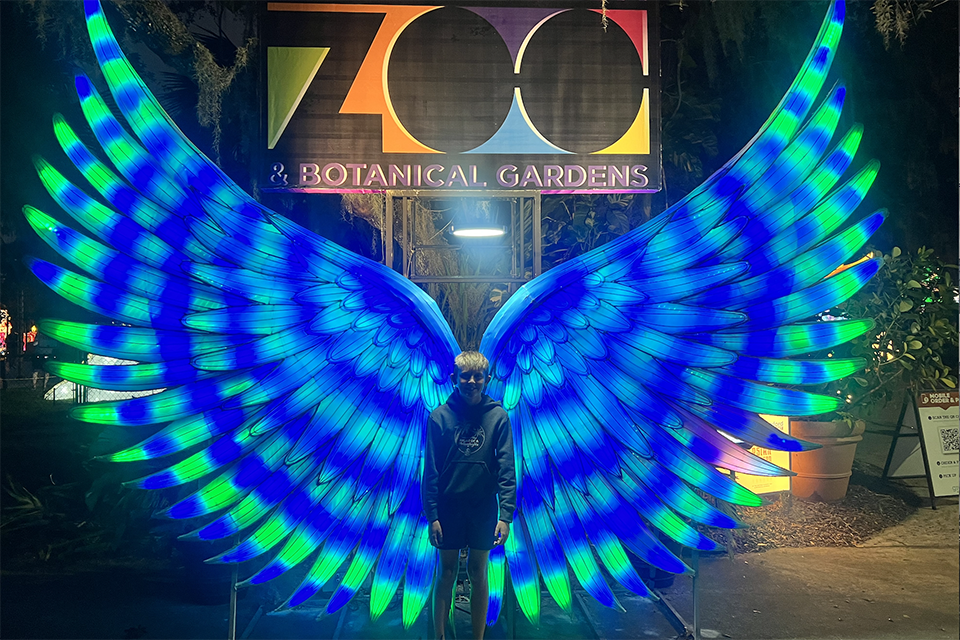 Asian Lantern Festival.