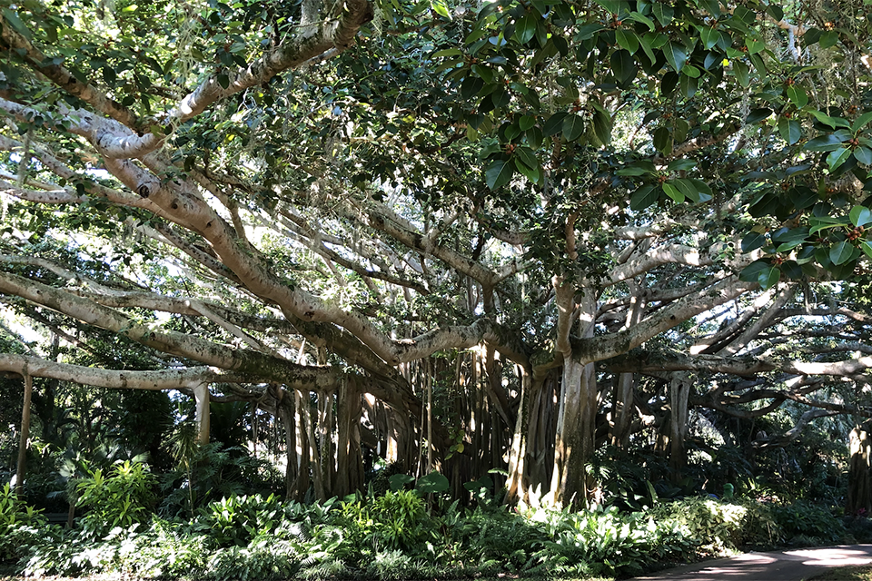 Legoland Florida Resort: Cypress Gardens