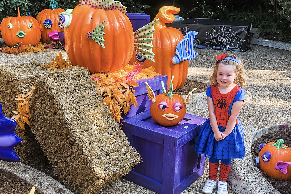 SeaWorld’s Spooktacular runs through November 2 with fun surprises, candy, costumes, and more! Photo by the author