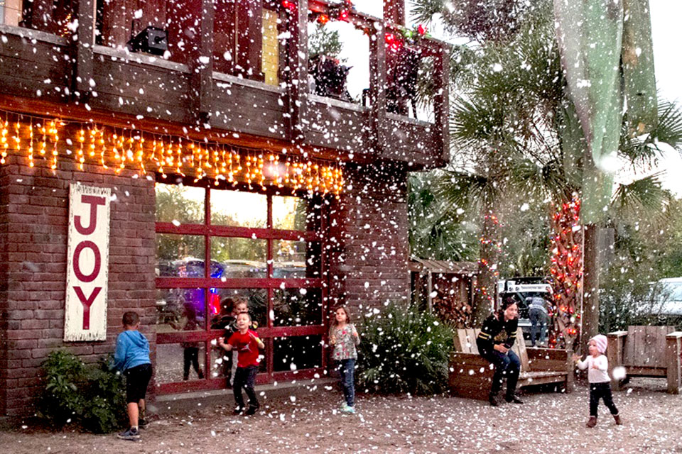 sparkling snow at Wekiva Island