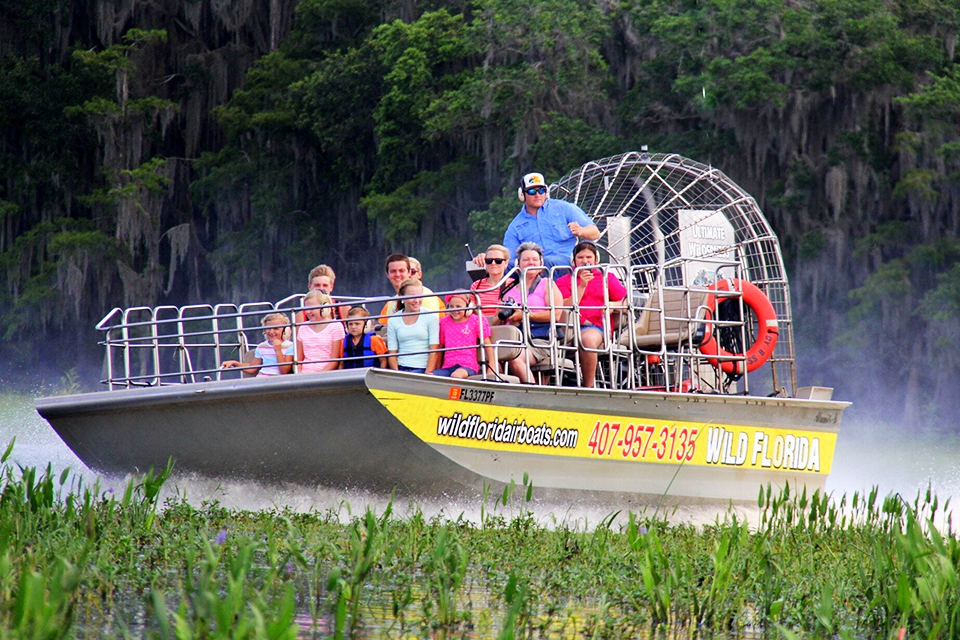 Wild Florida airboat rides allow passengers close-up experiences with Florida's native wildlife and vegetation. Photo courtesy Wild Florida