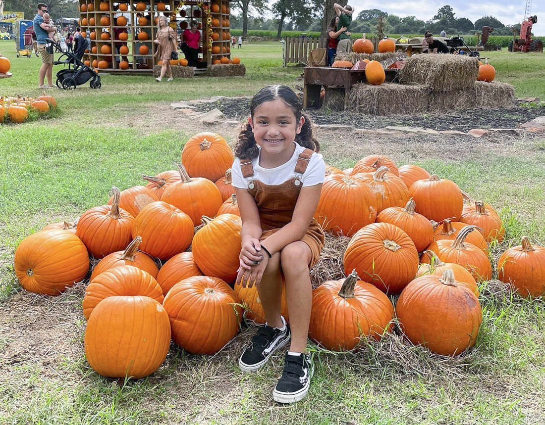 There are plenty of choices for pumpkin patches near Houston. Photo courtesy of P6 Farms