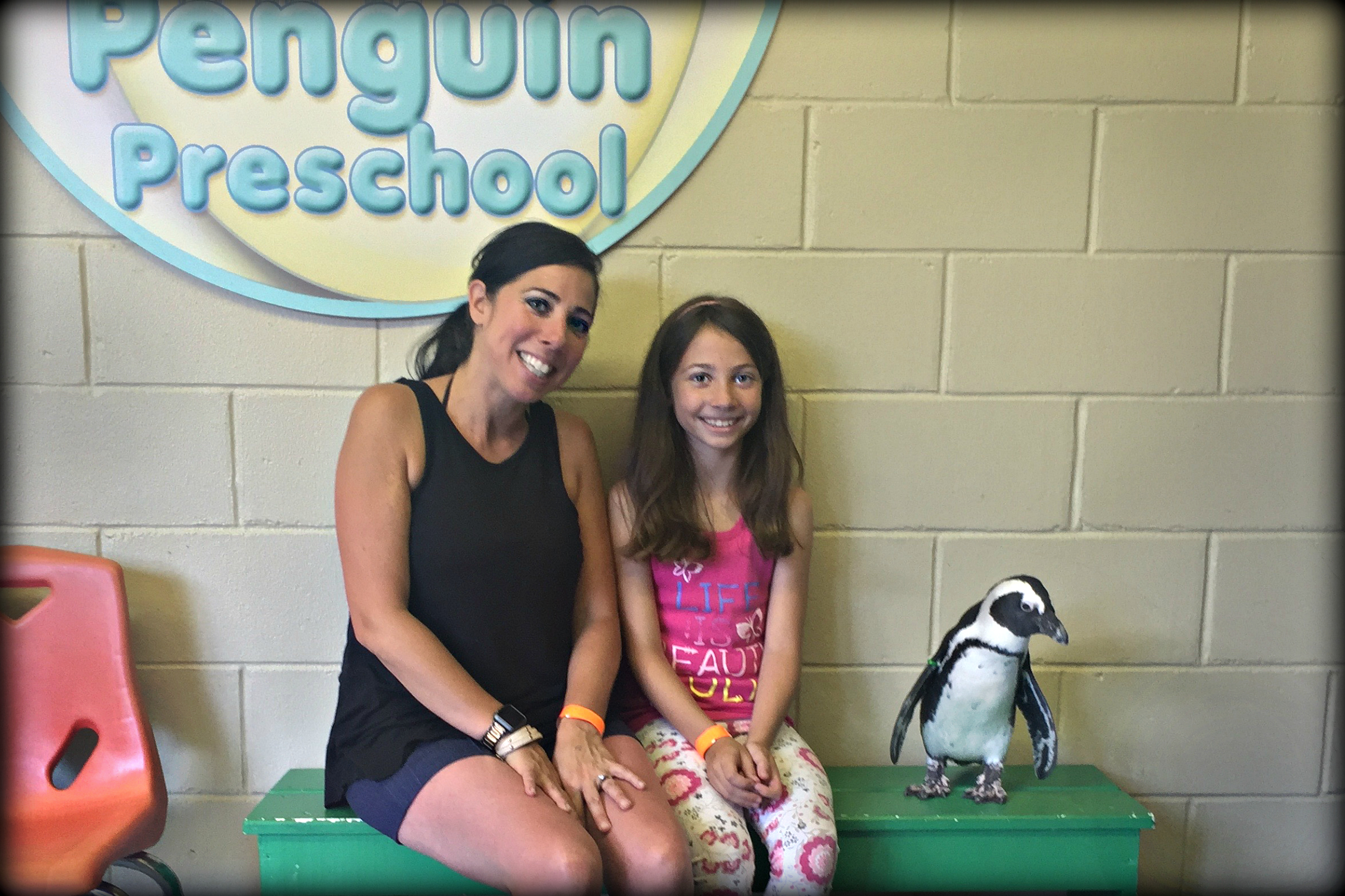 photo with a penguin Long Island Aquarium