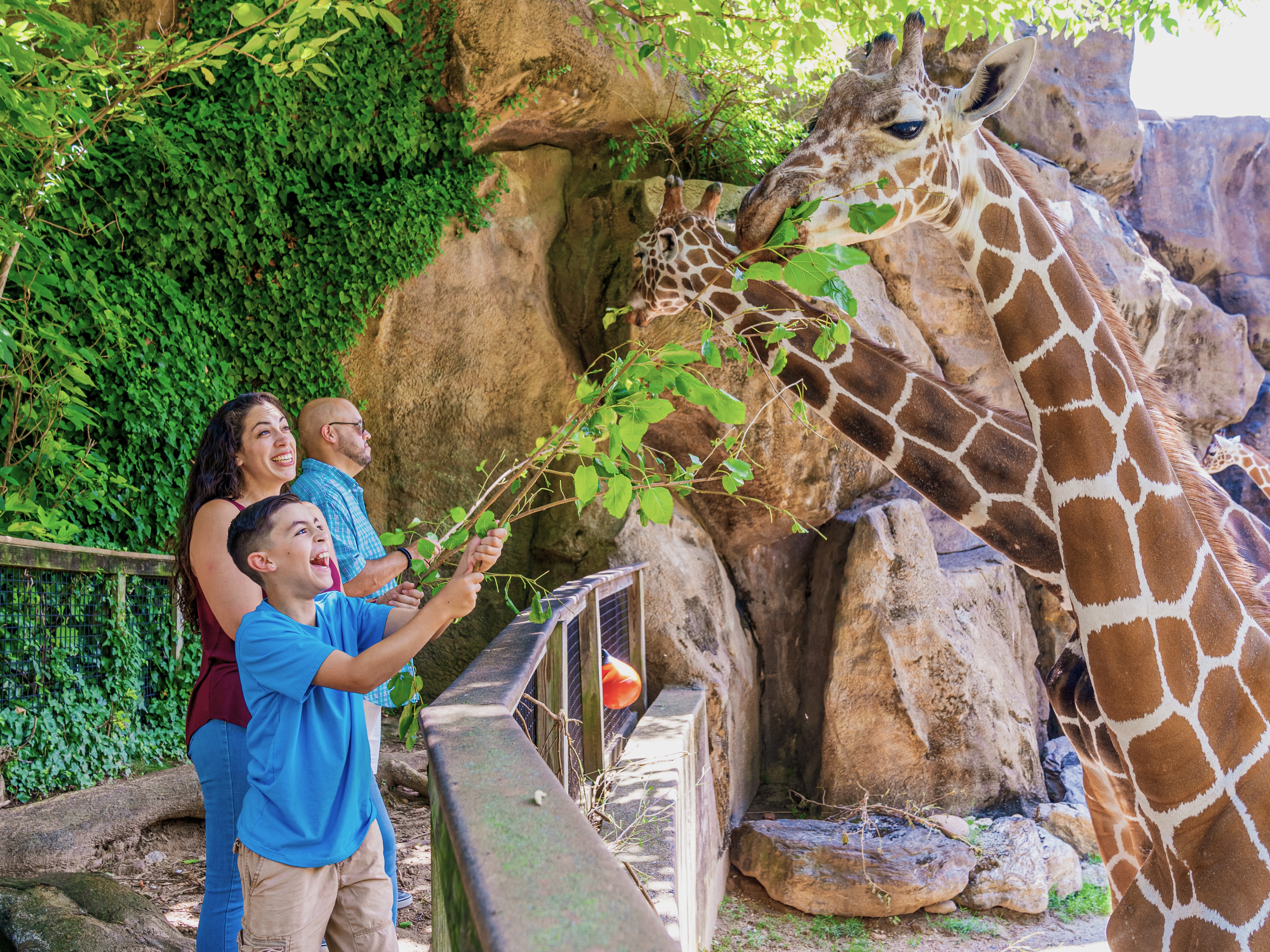 The animals are very friendly at the Philly Zoo... especially around lunchtime. Photo by J. Fusco