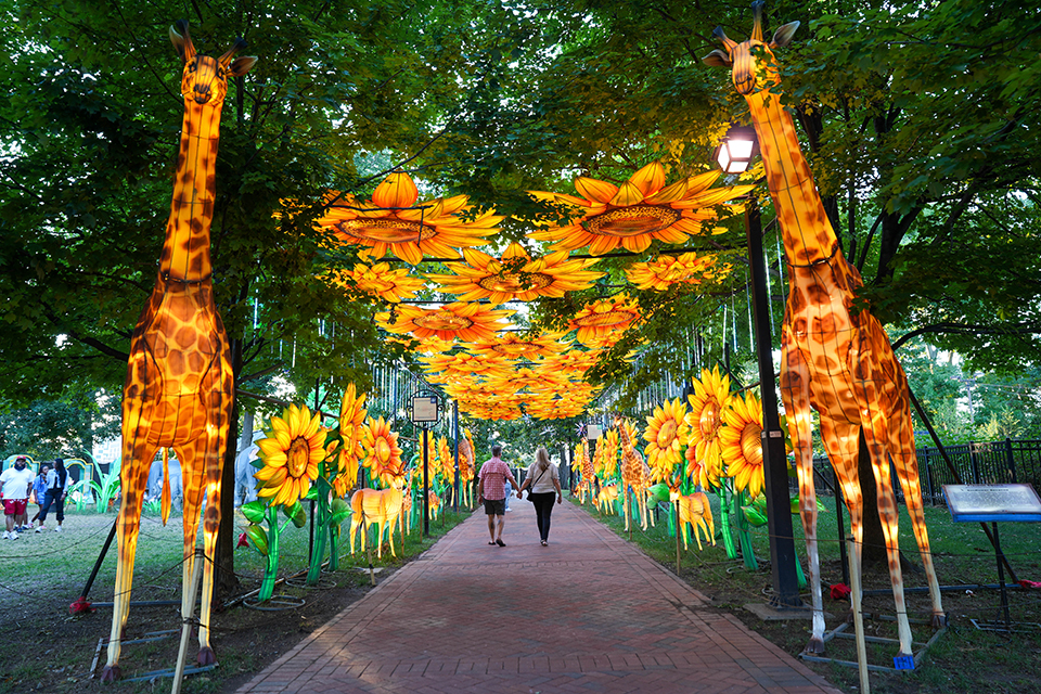 The Philadelphia Chinese Lantern Festival is open at Franklin Square through August 31! Photo by H. Daluisio/Visit Philadelphia