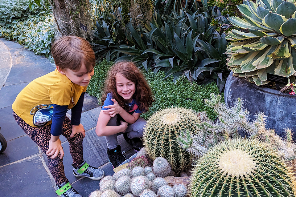 Experience the world of Longwood Gardens… a place to see dazzling displays that elevate the art of horticulture. Photo by Cait Sumner