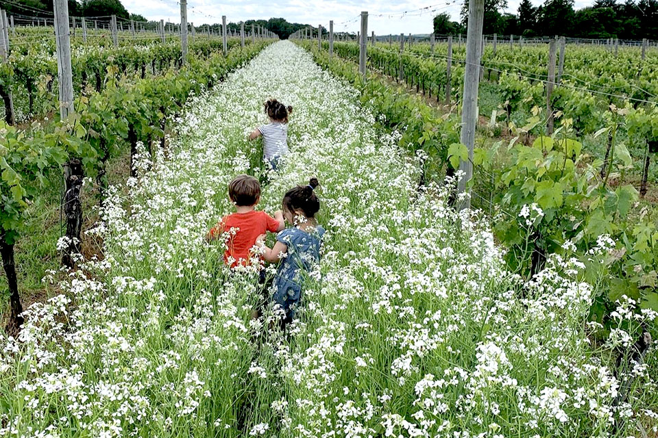 Explore the grounds at Penns Woods Winery. Photo courtesy the winery