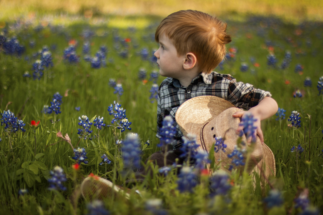 A field of bluebonnets near Houston. Photo by Phineas Adams, courtesy of Unsplash