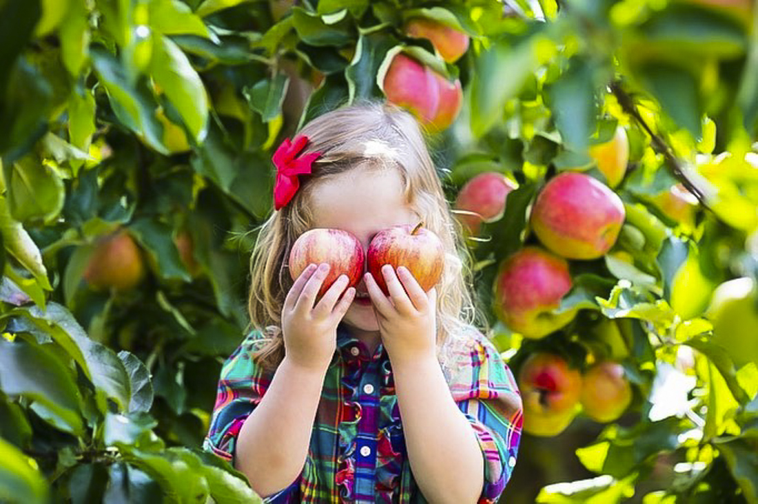 Just about an hour from Chicago, kids can pick apples at Apple Holler from mid-August to November.