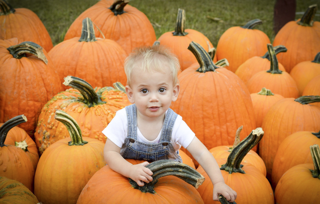 The best pumpkin patches in Connecticut offer a great opportunity to explore the outdoors with a fun fall activity! Photo courtesy of Brown's Harvest 