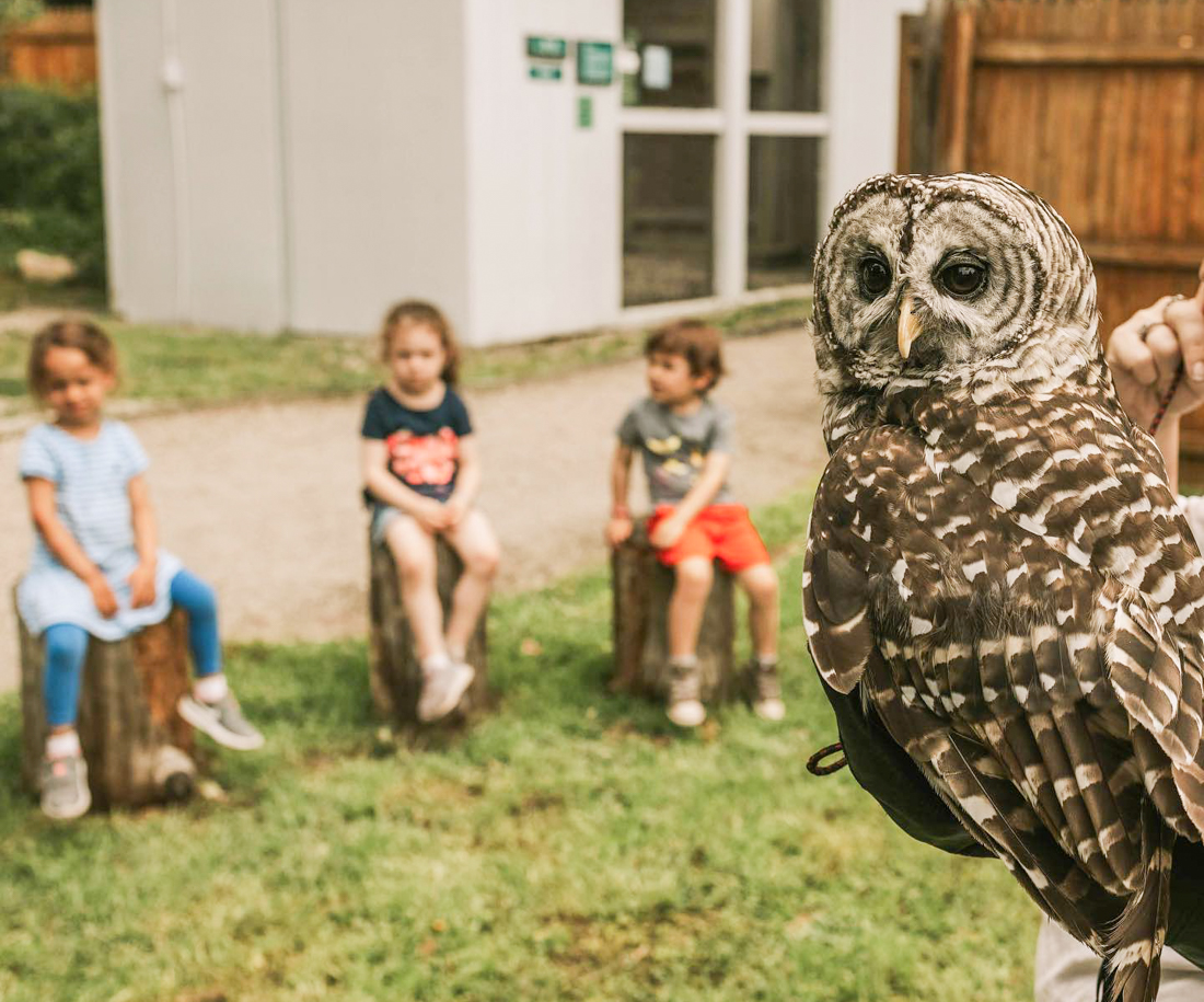 Photo of children and owl at Earthplace-Visitng CT with kids