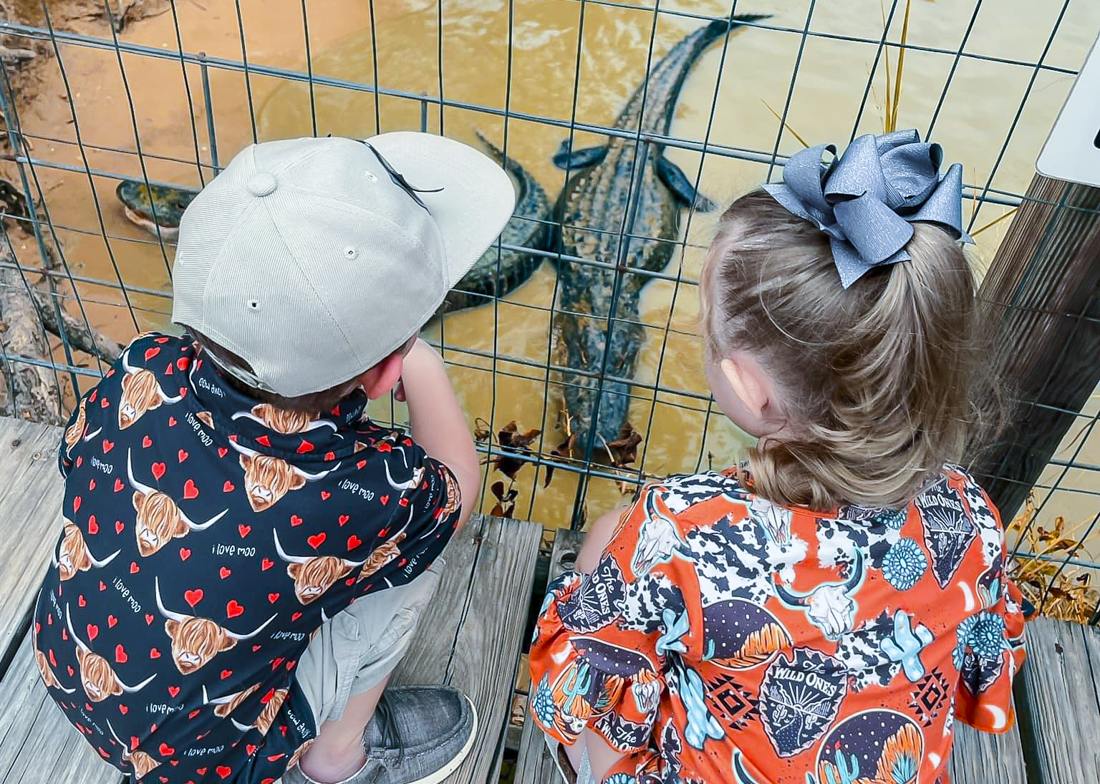 See alligators in Beaumont, about 90 minutes from Houston. Photo courtesy of Gator Country Wildlife Adventure Park