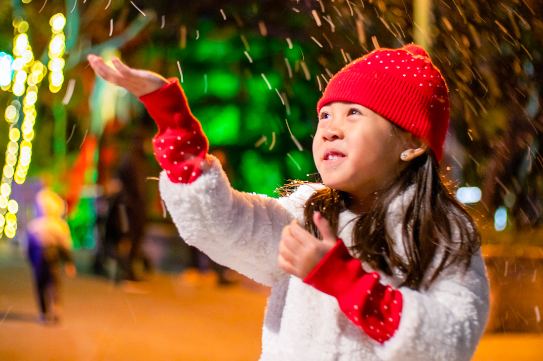 See the snowfall on New Year's Eve! Photo courtesy of Gilroy Gardens 