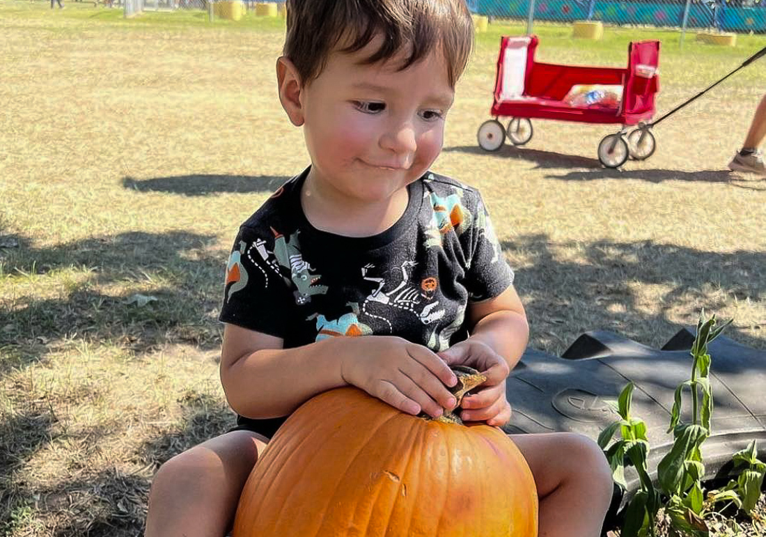 From pumpkins to corn mazes, there's loads of seasonal fun at local farms. Photo courtesy of P6 Farms