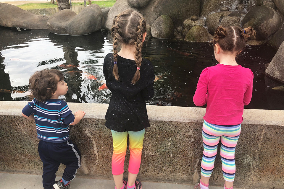 Things to Do in Phoenix with Kids: World Wildlife Zoo