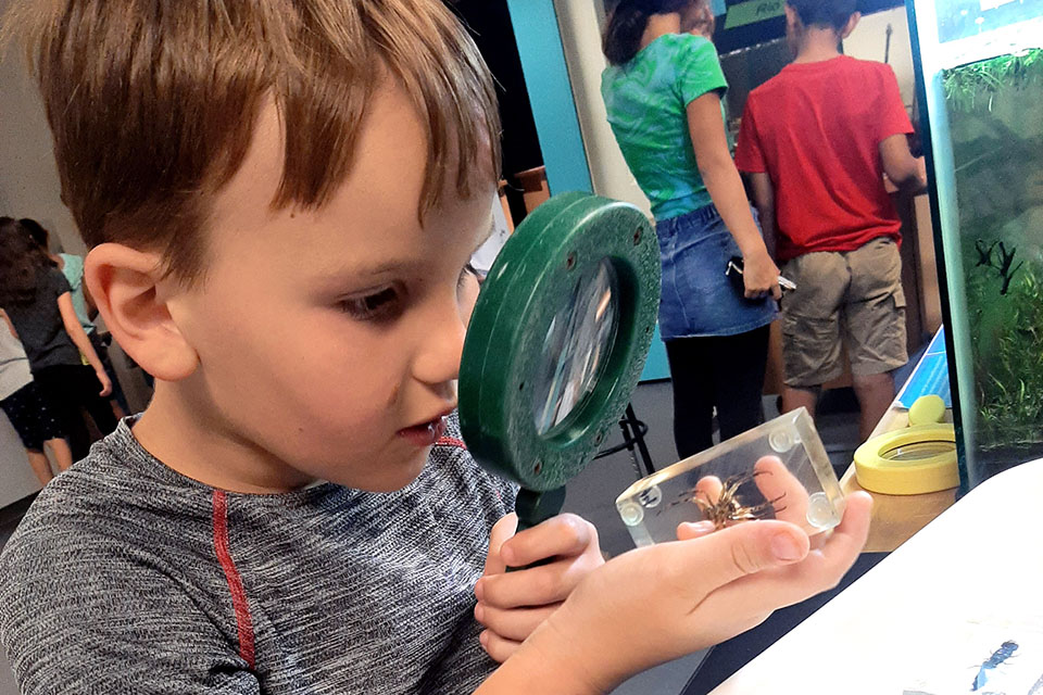 Oregon Museum of Science and Industry Portland with Kids: 50 Best Things To Do in Portland, OR Status message