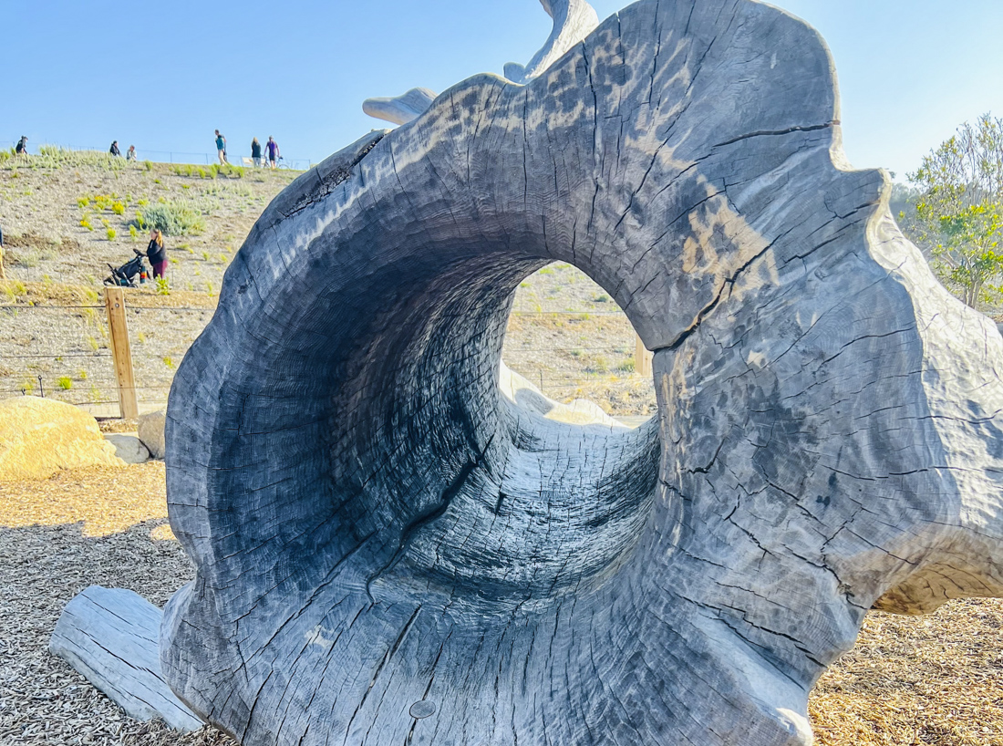Exploring San Francisco's New Presidio Tunnel Tops with Kids: Climb through giant trees.