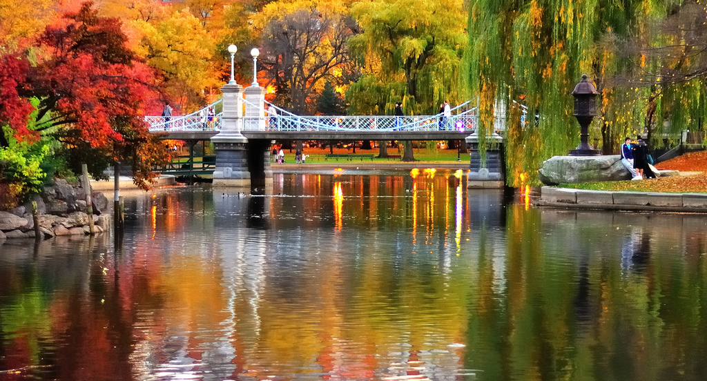 An autumn sunset is lovely in the Public Garden. Photo courtesy of Michael Krigsman via Flickr