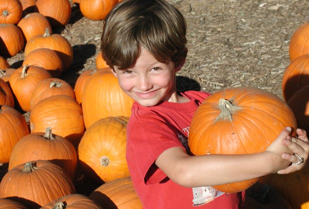 South Florida's guide to the best things to do this fall near Miami with kids.