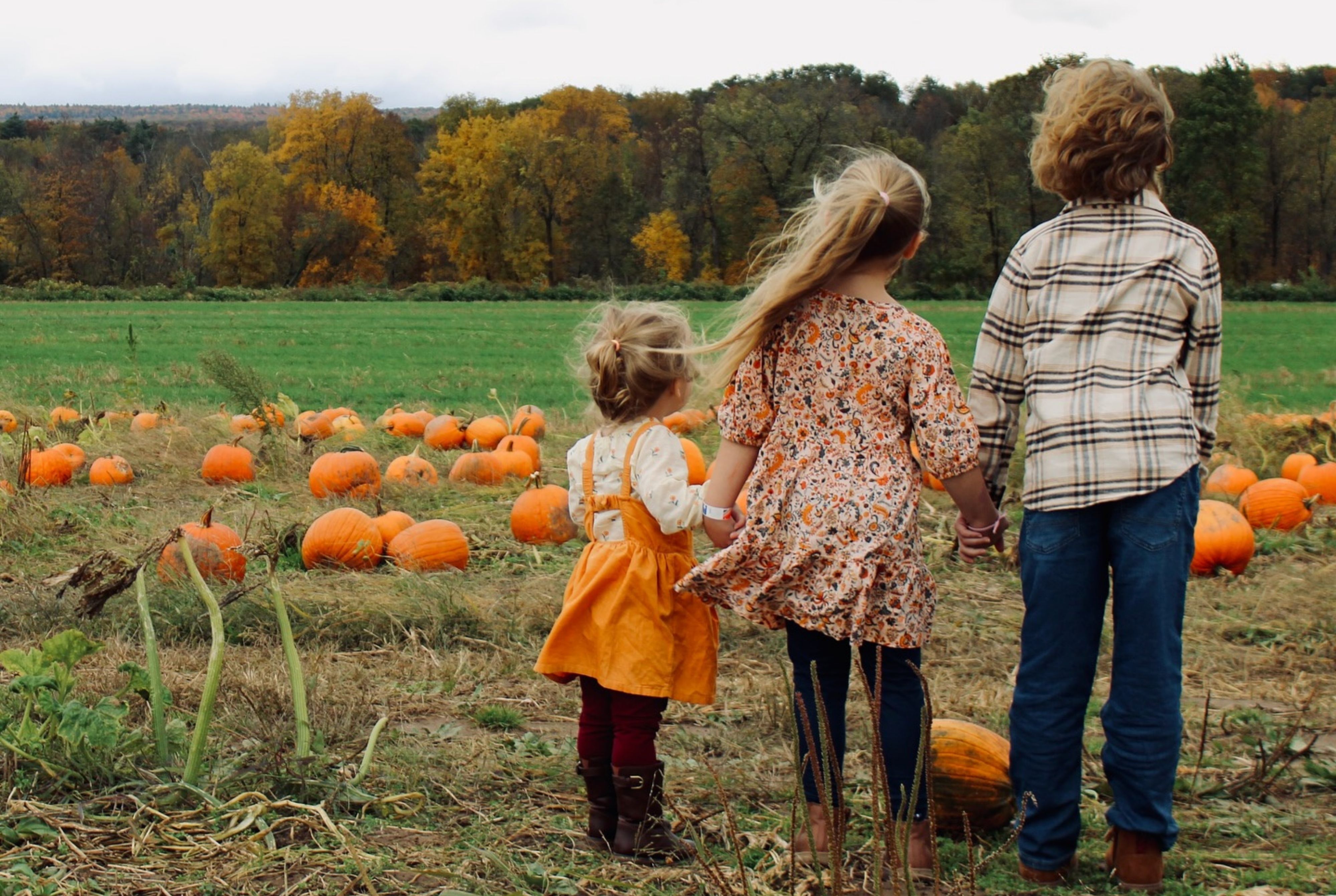 Kelder's Farm in Kerhonkson offers acres of pumpkins to pick, plus tons of family-friendly activities and seasonal photo-ops. Photo courtesy of the farm