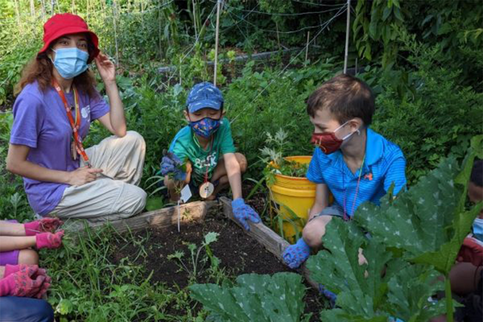 It's hands-on work and play in the garden in the Garden Buds program at the Queens Botanic Garden. 