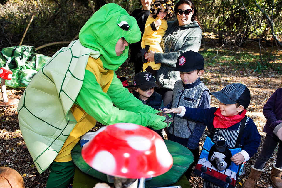 Stroll the Enchanted Trail at the Quogue Wildlife Refuge. Photo courtesy of the refuge