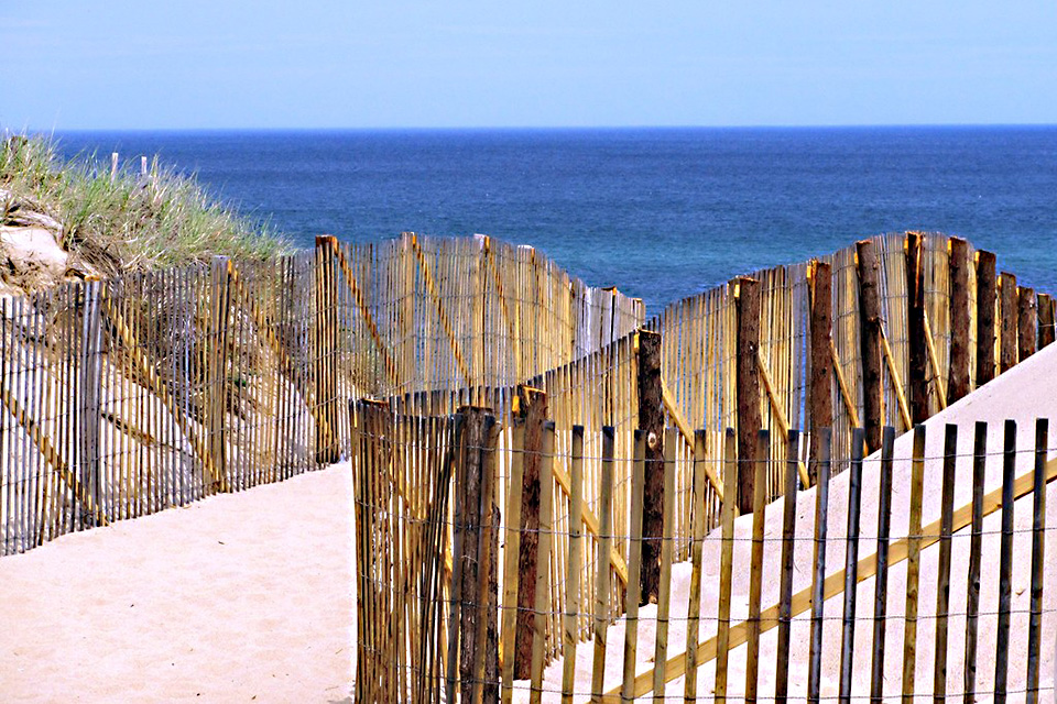 Image of walkway to Race point Beach, a Cape Cod beach for families with kids.