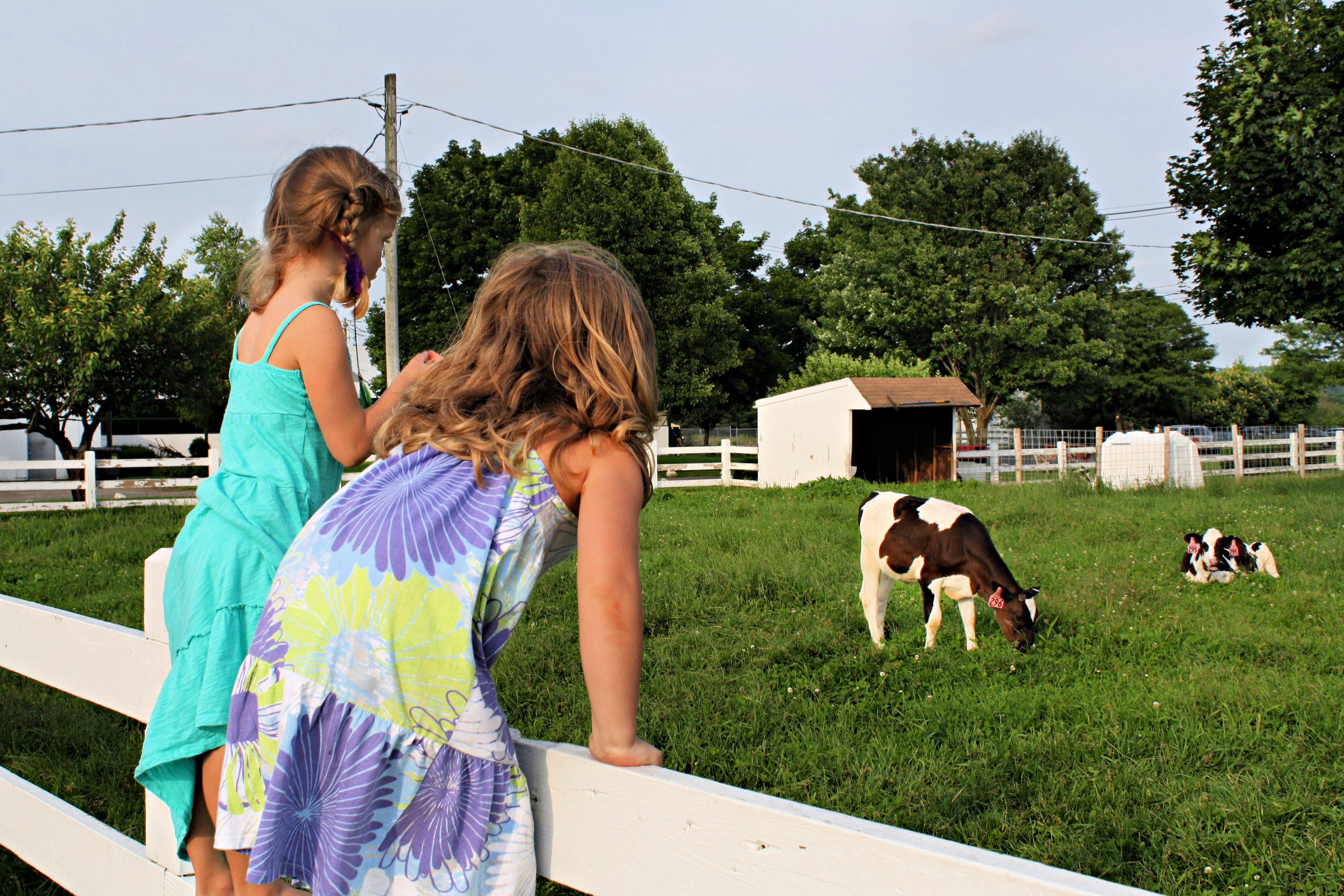 Richardson's Ice Cream in Middleton- Farms with Family Entertainment
