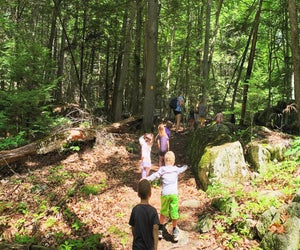 Explore the woods at the Roaring Brook Nature Center's camp. Photo courtesy of the camp