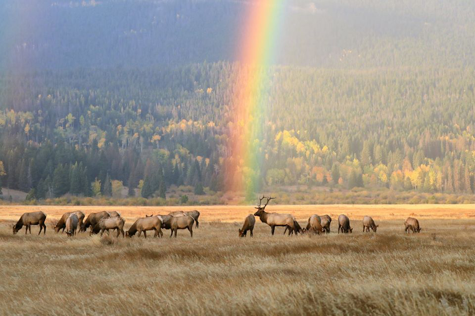 Visit National Parks in 2022 on These Free Entrance Days: The Rocky Mountains